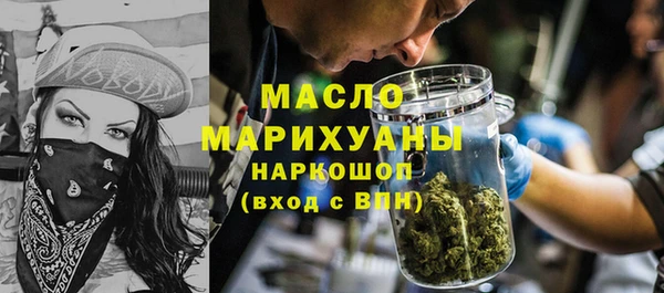 индика Бородино